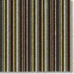 WILD THING CARPET